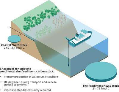 Sedimentary carbon on the continental shelf: Emerging capabilities and research priorities for Blue Carbon